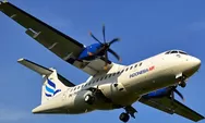 Hilang kontak di Leang-leang Maros, pesawat ATR Indonesia Air angkut 11 orang dalam pencarian Basarnas