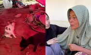 Meski jadi korban banjir, warga Pidie Jaya ini tetap masak di dapur umum: Kami iba kalau nggak ada yang masak