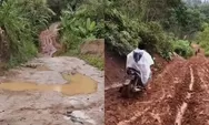 Ban motor dirantai demi bisa mengajar, viral perjuangan guru lewati jalan berlumpur di Lampung Barat