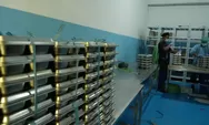 Viral eks akuntan SPPG Sukabumi bongkar dugaan mark up pengadaan beras program MBG