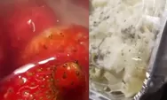 Viral menu MBG berbelatung di Malang, operasional SPPG Lowokwaru Tulusrejo 2 dihentikan sementara