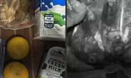 SPPG Cikole Sukabumi akui lalai usai bagikan menu MBG ikan nila yang masih mentah hingga sampai ke tangan siswa