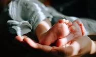 Geger rumah bidan di Sleman jadi tempat penitipan 11 bayi, polisi ungkap mayoritas lahir di luar nikah