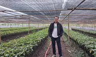 Generasi muda Subang diajak bertani kakao, peluang usaha terbuka lebar di pasar global