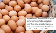 Viral peternak ayam bongkar kelakuan oknum dapur MBG, mau beli telur nyaris busuk hingga manipulasi harga di nota anggaran