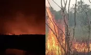 Dua hari Taman Nasional Way Kambas terbakar, petugas ungkap kendala akses dan sumber air