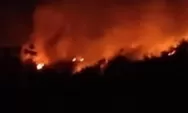 Jejak bencana karhutla di kawasan Gunung Geulis Sukabumi: 4 Hektare lahan sampai gosong dilalap api