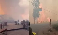 Kebakaran meluas hingga area kafe, kawasan wisata Bromo ditutup total