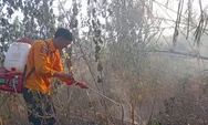 Kebakaran lahan di Dawuan Subang, ilalang seluas 2 hektare terbakar