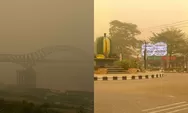 Curhatan warga Barito Utara Kalteng, langit menguning dampak kabut asap karhutla: Ini bukan filter foto