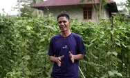 Program MBG Selamatkan Petani NTT: Hasil Panen Terserap, Pendapatan Naik Tiga Kali Lipat