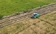 Stok Pangan Nasional Aman 11 Bulan, Pemerintah Siap Hadapi El Nino Godzilla