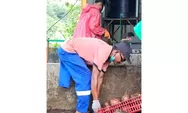 PT Argo Porang Nusantara Terapkan Rekrutmen Inklusif bagi Tenaga Kerja Disabilitas di Manggarai