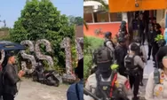 Viral Pesan Singkat Berujung Pengamanan Gegana di SDN 15 Srengseng Sawah Jakarta Selatan, Benarkah Ada Ancaman Teror Bom?