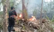 Kemenhut Minta Penanganan Karhutla Banjarbaru Dilanjutkan dengan Kajian Pascapemadaman