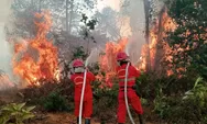 6 Provinsi di Kalimantan dan Sumatera Jadi Prioritas Penanganan Karhutla, Operasi Darat Jadi Ujung Tombak