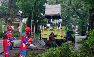 Pohon Tumbang Hingga Mobil Terperosok di Jaksel Berhasil Dievakuasi