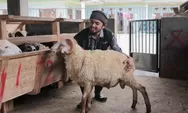Peternak Domba Mitra Green Kurban Sinergi Foundation Senang Bisa Bantu Masyarakat Hingga Pelosok