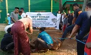 Jumat Berkah, Ponpes Nuu Waar AFKN Dapat Kiriman Sapi dari H. Tony Uloli