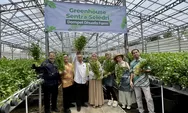 Panen Seledri Perdana, Greenhouse Dompet Dhuafa Farm Terbesar di Banten Harapkan Bisa Penuhi Kebutuhan Seledri di Banten
