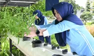 PIA Ardhya Garini Cabang  Lanud Husein Sastranegara Panen Kangkung dengan Hidroponik