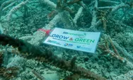 BRI Menanam Grow  Green Transplantasi Terumbu Karang, Jadi Ujung Tombak Pelestarian Ekosistem Laut di NTB