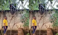 Viral Motor Tetiba Nyangkut di Atas Beton Rumah Warga Lampung, Diduga Imbas Aksi Curanmor