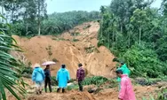 Tragedi Banjir Bandang di Kabupaten Agam Telan 74 Korban Jiwa: Tersebar pada 5 Kecamatan, 78 Orang Masih Hilang