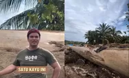 Heboh Kayu Super Besar usai Banjir Bandang di Aceh Tamiang, Disebut Bisa Dijadikan Untuk Bikin Kapal Nabi Nuh