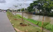 Gerakan 'Banten Teduh,Tangerang Sejuk' Tanam 5.000 Pohon