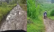 Sampai Harus Copot Sepatu, Guru di Grobogan Jawa Tengah Ini Keluhkan Jalan yang Berlumpur saat Menuju SDN 4 Pandanharum