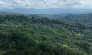Kelompok Pegiat Anti Korupsi Endus Aroma Pelanggaran Hukum Pada Proses Lahan Kompensasi PT BSI, Satgas PKH Diminta Turun Tangan