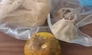 Menu MBG SDN 02 Jombang Diprotes, Wali Murid Nilai Kurang Mengenyangkan