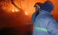Lapak di Jurangmangu Timur Ludes Terbakar Dini Hari, Diduga Akibat Pembakaran Sampah