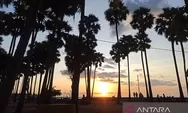 Pantai Lasiana Kupang NTT Punya Spot Sunset yang Ciamik, Simak Informasinya