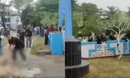 Viral Aksi Lempar Bangkai Ayam ke Kantor PLN Palangka Raya, Peternak Protes Pemadaman Listrik Bergilir yang Bikin Rugi
