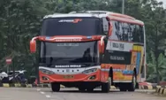 Panduan Naik Bus Rosalia Indah Jakarta ke Solo dan Solo ke Jakarta Januari 2026