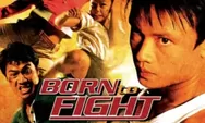 Review Film Born to Fight (2004), Aksi Polisi Rahasia Thailand Gagalkan Teror Milisi Bersenjata