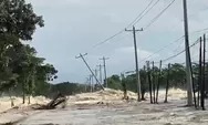 Tanggul Sungai Tuntang Demak Jebol Dua Titik, Jalan Semarang-Purwodadi Lumpuh Total dan Dampaknya Bagi Warga