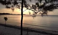 Yuk ‘Nyore’ Sunset di Pantai Blebak Jepara, Tawarkan Ketenangan Bernuansa Mangrove
