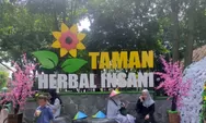 Asyiknya Belajar Tanaman Obat Sambil Bermain di Taman Herbal Insani Depok