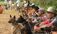 Makna Tradisi Buru Babi Bagi Para Pria Minangkabau