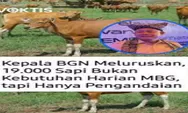 Klarifikasi BGN Soal 19.000 Sapi untuk MBG, Ternyata Hanya Pengandaian Perhitungan