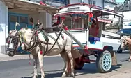 Mengenal Moda Transportasi Cidomo dari Lombok, Ikon Wisata Bumi Sasak