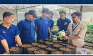Program Pembinaan Lapas Semarang Ajarkan Teknik Budidaya Sayur kepada Napi Lewat Praktik Langsung