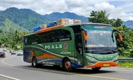 Info Lengkap Jadwal Bus ALS Rute Amplas - Jakarta - Semarang - Surabaya - Jember Periode 1 - 15 Juni 2026 Lengkap dengan Jam Berangkat dan Harga Tiket