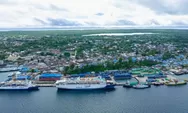 Mengenal Jalur Pelayaran Kota Tual dan Kepulauan Sekitarnya, Mulai Dari Kapal Perintis Hingga Armada Pelni