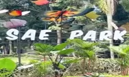 Salatiga Eco Park 2026: Wisata Liburan Sekolah Anak Edukatif Lengkap dengan Penginapan Keluarga dan Berbagai Macam Wahana Menarik