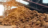 Analisa Peluang Pemanfaatan Limbah Sawit dan Styrofoam Jadi Alternatif Bahan Bakar Kapal