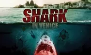 Review Film Shark in Venice (2008), Ketika Arkeolog Hadapi Teror Ikan Hiu Ganas di Kanal Ikonik Venesia